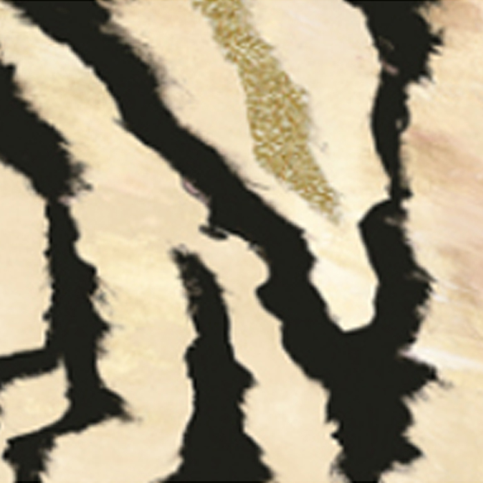 1-5-1.jpg TWS Queen of Florida - Image 1