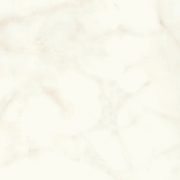 MARVEL SHINE CALACATTA DELICATO LP 120X240 RT(