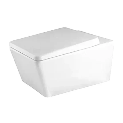 Wall Hung Toilet2